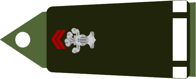 File:Army-FRA-OF-01C-ROTATION-CAVALRY.svg