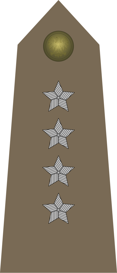 ไฟล์:Army-POL-OF-02.svg