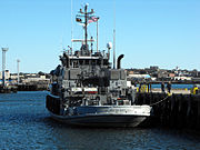 ArmyTugScott7