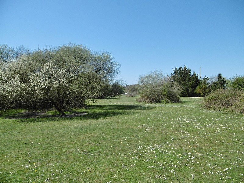 File:Ashlett, access land - geograph.org.uk - 4435669.jpg