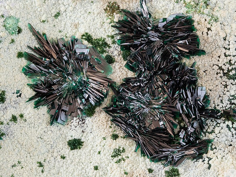 File:Atacamite from La Farola Mine, Chile.jpg