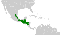 Aulacorhynchus prasinus map.svg
