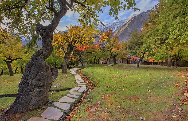 File:Autumn Blossom, Altit Garden, Hunza Gilgit Pakistan.jpg