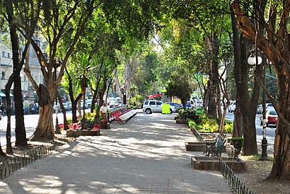 Cómo llegar a Avenida Álvaro Obregón en transporte público - Sobre el lugar