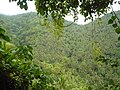 Mt. Cagata in Brgy. Hambian