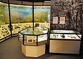 The Prehistory Gallery