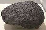 Miniatura para Baszkówka (meteorito)