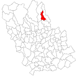 Location of Bătrâni