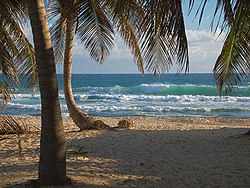 Plage sur la côte caraïbe de Isla Mujeres (4257546308) .jpg