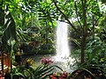 Jardí Botànic De Pequín: Història, Punts dinterès, Col·lecció