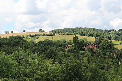 Kako doći do Belić pomoću gradskog prevoza - O mestu