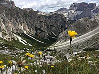 Tierras altas alpinas en el Parque Nacional Dolomiti Bellunesi