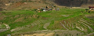 Agriculture in Bhutan