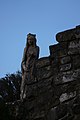 Statue de la Vierge sur des ruines