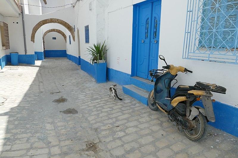 File:Bizerte, Kasbah 03.jpg