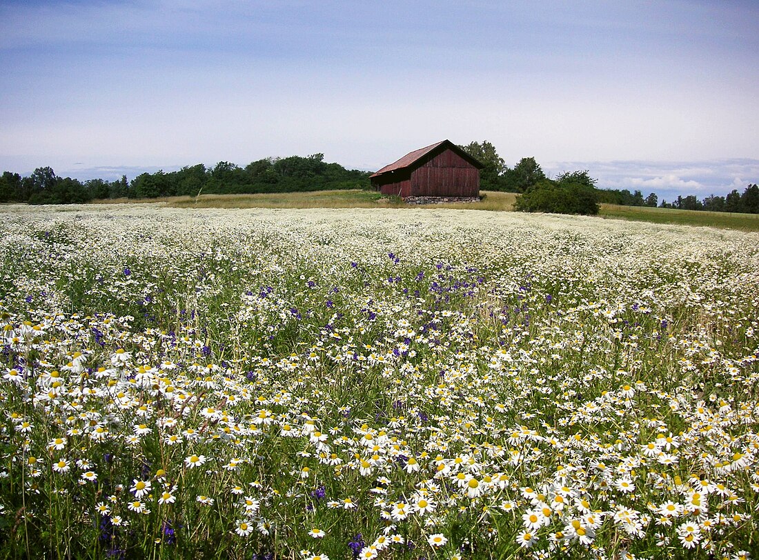 Natur i Stockholms län