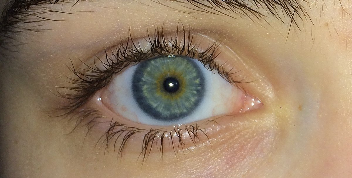 bluish green eyes