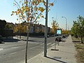 Avenida Condesa De Chinchón