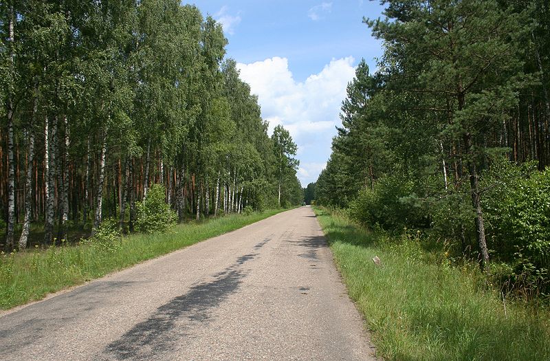 File:Bociani szlak rowerowy Narew - Gorędy 13.07.2009 p.jpg