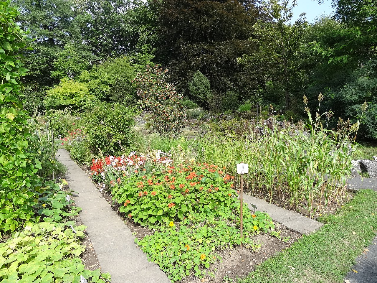 FileBotanischer Garten Gießen 06.JPG Wikimedia Commons