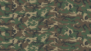 <span class="mw-page-title-main">ERDL pattern</span> Camouflage pattern