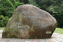 Bukit Timahs topp, den högsta punkten i Singapore.