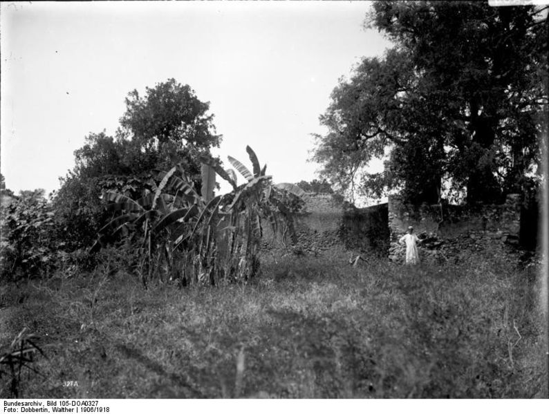 File:Bundesarchiv Bild 105-DOA0327, Deutsch-Ostafrika, Tanga, Dorf Nduri.jpg