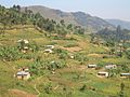 Bwindi áthatolhatatlan Nemzeti Park-112366.jpg