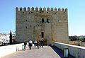 Calahorra Tower from the roman bridge - Córdoba.JPG
