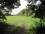 Caldecote Meadows