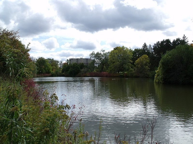 File:Campus lake at the University of Waterloo, October 2009.jpg