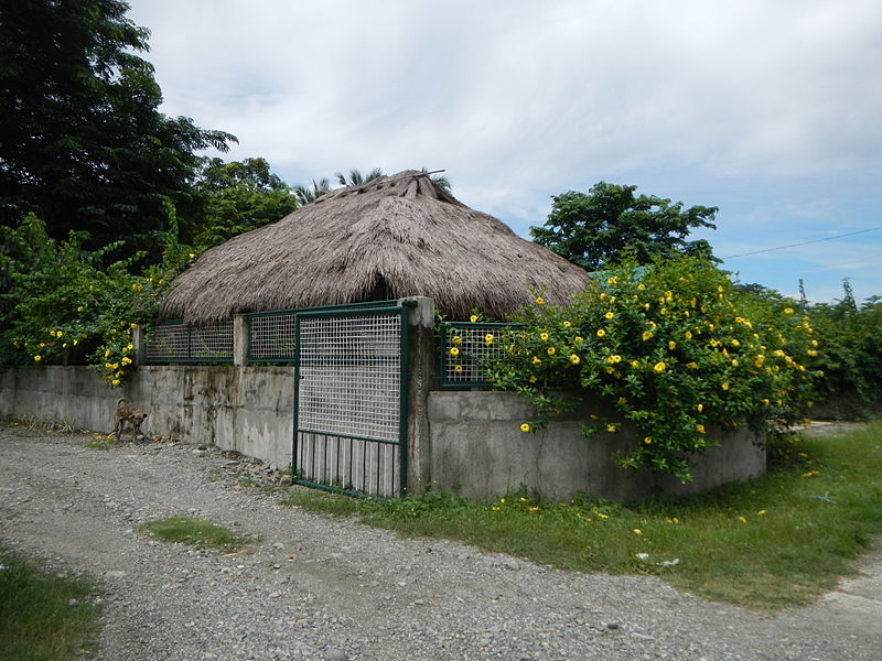 File:Carranglan, Nueva Ecija4022 04.JPG