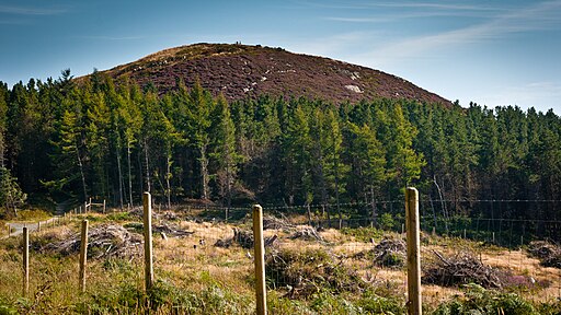 Carrickgollogan