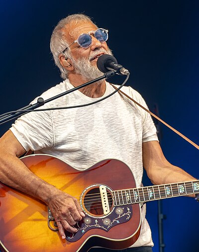 Cat Stevens