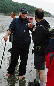 Cedric Robinson, the 25th Queen's Guide to the Sands, leading a group across Morecambe Bay in July 2014 Cedric Robinson.jpg