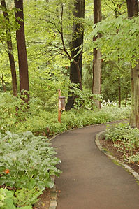 Chanticleer Gardens Asian Woods 2000px.jpg