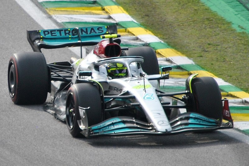 File:Cheering for Hamilton's overtake (52499307609) (cropped).jpg