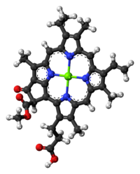 Molécula de clorofila c1