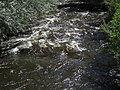 Clear Creek (Buffalo, Wyoming, USA) (1 June 2017) 5 (34657590880).jpg