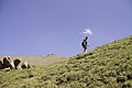Climbing Tastar-Ata (3.847m) (14939482858).jpg