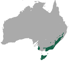 Common Wombat area.png