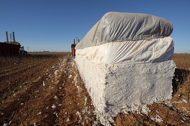 File:Cotton harvest on the South Plains near Lubbock, Texas. A module of cotton ready to be transported to the cotton gin. (24486644394).jpg