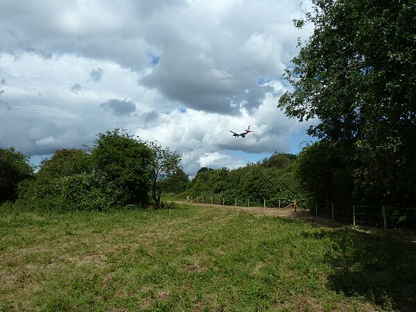 Image: Crane Meadows