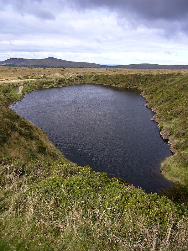 Crazywell Pool