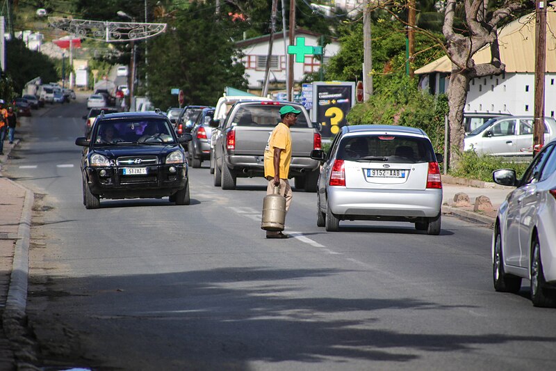 File:Crossing the Street (15646873564).jpg