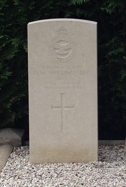 File:D.M. Wellings. Commonwealth war graves - The Netherlands - Voorthuizen general cemetery (cropped).jpg