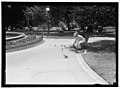 DISTRICT OF COLUMBIA PARKS. FEEDING PIGEONS IN THE PARKS LCCN2016867375.jpg
