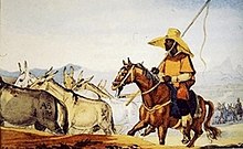 Slave leading a troop of mules in the province of Rio Grande, in watercolor by Debret. Debret- Escravo negro conduzindo tropas na Provincia do Rio Grande.jpg