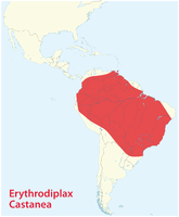 1054th file - 178 KB - 1241x1502 27.03.2011 upload 1870 Distribution Map of Erythrodiplax Castanea.png