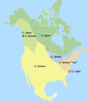Distribution of North American Canis 2.png